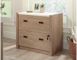 Sauder Woodworking Co. Dixon City Brushed Oak Lateral File