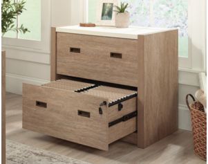 Sauder Woodworking Co. Dixon City Brushed Oak Lateral File