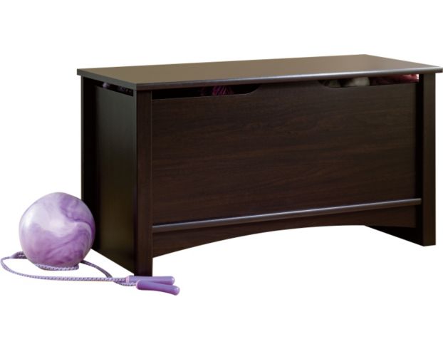 Sauder deals toy storage