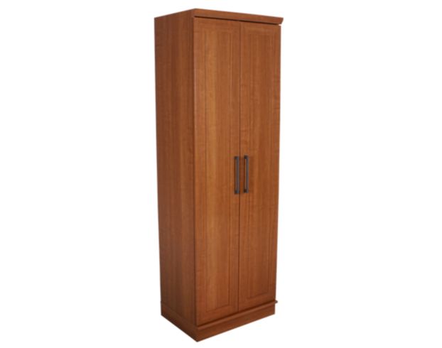 Sauder Homeplus Storage Cabinet in Sienna Oak Finish