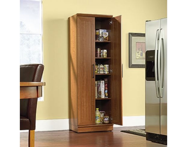Sauder HomePlus Storage Cabinet large image number 2