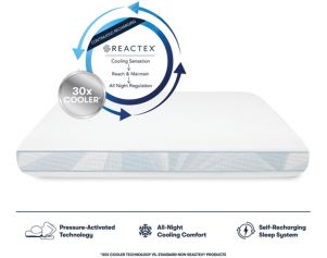 Serta Mattress Arctic Memory Foam Standard Pillow