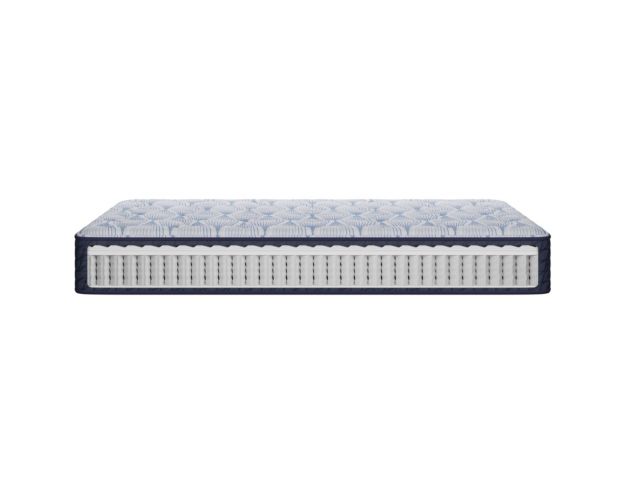 Serta Blissful Excellence Delani Meadows Firm Twin Mattress large image number 3