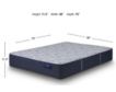 Serta Blissful Excellence Delani Meadows Firm Twin Mattress small image number 5