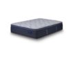 Serta Blissful Excellence Delani Meadows Firm Pillow Top Twin XL Mattress small image number 1