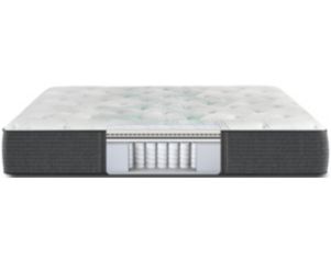 Simmons Beautyrest Cayman Plush Mattress