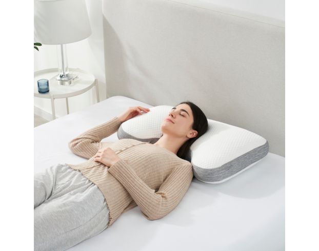 Sleeptone Basics Back Sleeper Queen Cooling Pillow large image number 2