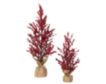 Sullivans Berry Tree in Burlap (Set of 2) small image number 1