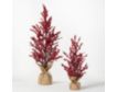 Sullivans Berry Tree in Burlap (Set of 2) small image number 2