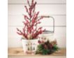 Sullivans Berry Tree in Burlap (Set of 2) small image number 3