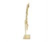 Uma 20 x 26 Gold Polystone Palm Leaf Sculpture small image number 3