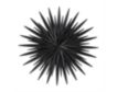 Uma 36 x 36 Black Metal Sunburst Wall Sculpture small image number 1