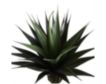 Uma 47” Green Faux Agave Tree with Black Pot small image number 3