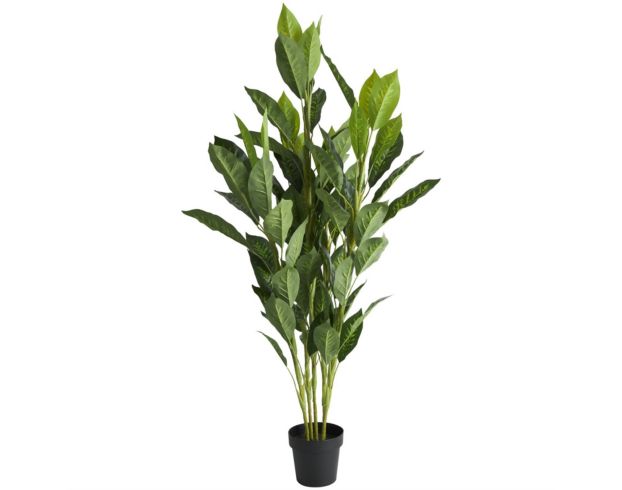 Uma 61-Inch Chinese Evergreen Tree with Black Pot large image number 1