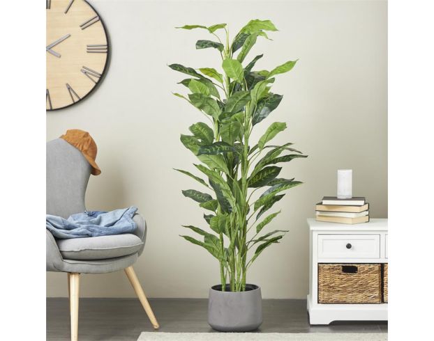 Uma 61-Inch Chinese Evergreen Tree with Black Pot large image number 2