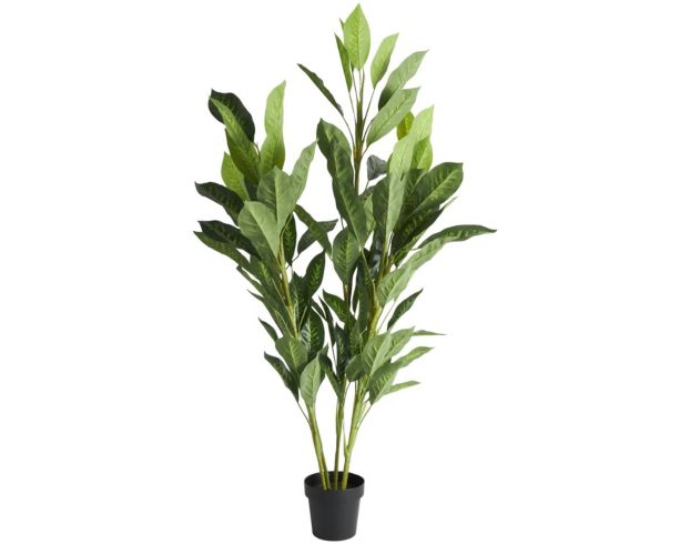 Uma 61-Inch Chinese Evergreen Tree with Black Pot large image number 3