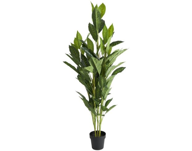 Uma 61-Inch Chinese Evergreen Tree with Black Pot large image number 4