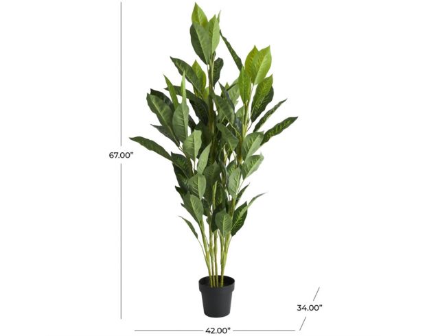 Uma 61-Inch Chinese Evergreen Tree with Black Pot large image number 5