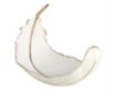 Uma Enterprises, Inc 13-Inch White Polystone Curved Bird Feather small image number 1