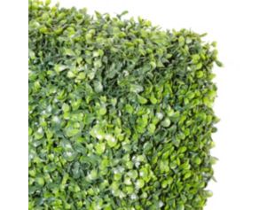 Uma 59-Inch Green Topiary