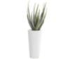 Uma 34-Inch Aloe Vera Plant in White Vase small image number 1