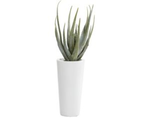 Uma 34-Inch Aloe Vera Plant in White Vase
