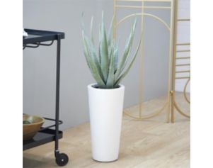 Uma 34-Inch Aloe Vera Plant in White Vase