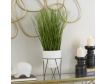 Uma White Wheatgrass Plant 25-In small image number 2