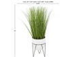 Uma White Wheatgrass Plant 25-In small image number 3
