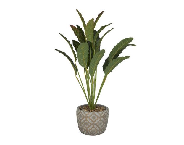 Uma 20-Inch Crotons Plant with Planter large image number 1