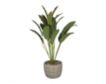 Uma 20-Inch Crotons Plant with Planter small image number 2