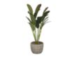 Uma 20-Inch Crotons Plant with Planter small image number 3