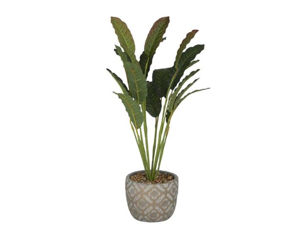 Uma 20-Inch Crotons Plant with Planter large image number 3