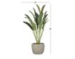 Uma 20-Inch Crotons Plant with Planter small image number 5
