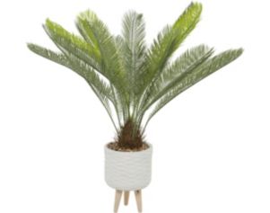 Uma Sago Palm Plant 43-In