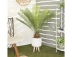 Uma Sago Palm Plant 43-In small image number 2