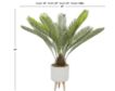 Uma Sago Palm Plant 43-In small image number 3