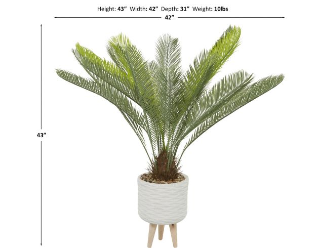 Uma Sago Palm Plant 43-In large image number 3