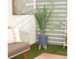 Uma Agave Plant 25-In small image number 2
