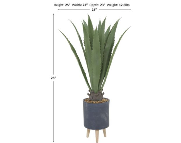 Uma Agave Plant 25-In large image number 3