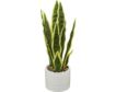 Uma Artificial Snake Plant 17-In small image number 1