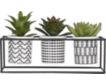 Uma Potted Succulent Trays (Set Of 3) small image number 1