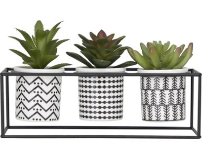 Uma White Potted Succulent Trays (Set Of 3)