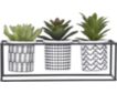 Uma Potted Succulent Trays (Set Of 3) small image number 2