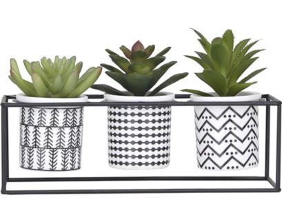 Uma White Potted Succulent Trays (Set Of 3)