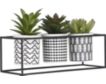 Uma Potted Succulent Trays (Set Of 3) small image number 3