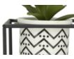 Uma Potted Succulent Trays (Set Of 3) small image number 4