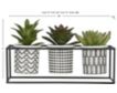 Uma Potted Succulent Trays (Set Of 3) small image number 7