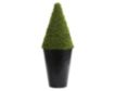 Uma Cone Topiary in Black Pot small image number 1