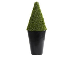 Uma Cone Topiary in Black Pot